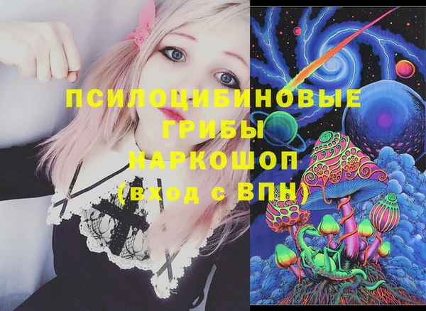 a pvp Аркадак